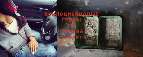 тгк Абинск